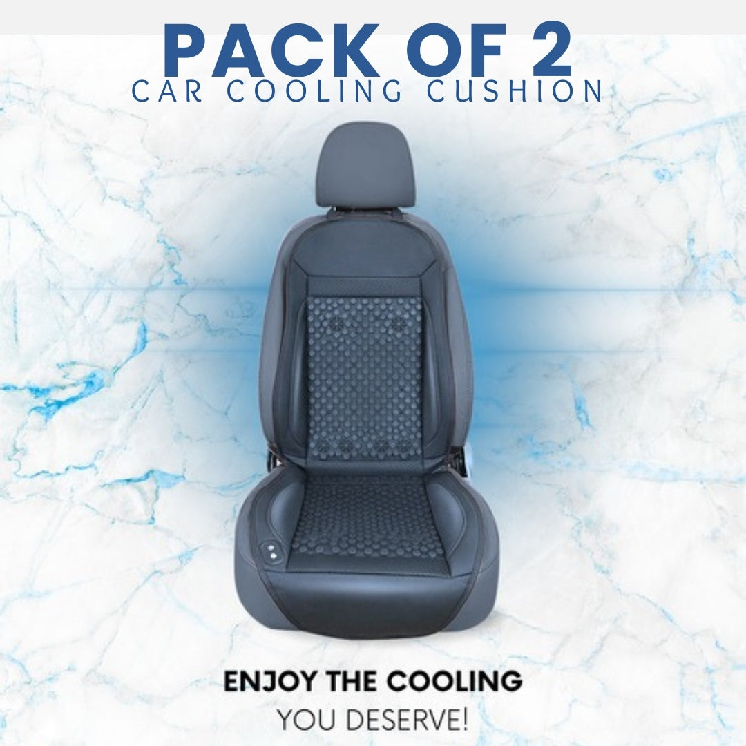 The Icy Seat™️