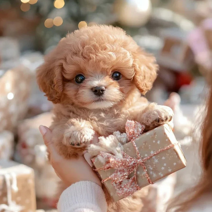 Robot Puppy Toy