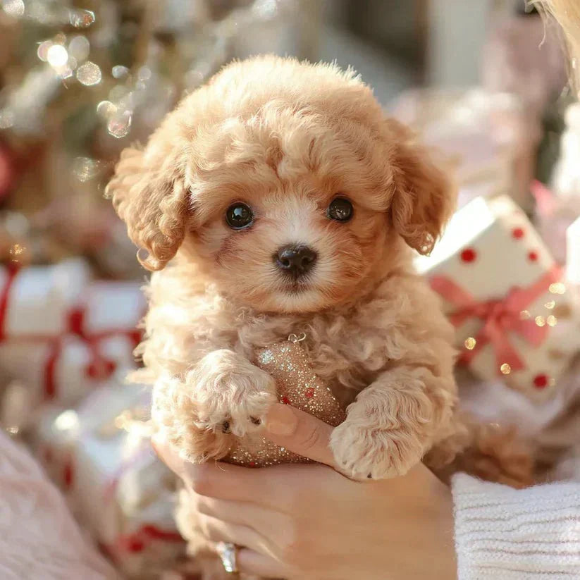 Robot Puppy Toy