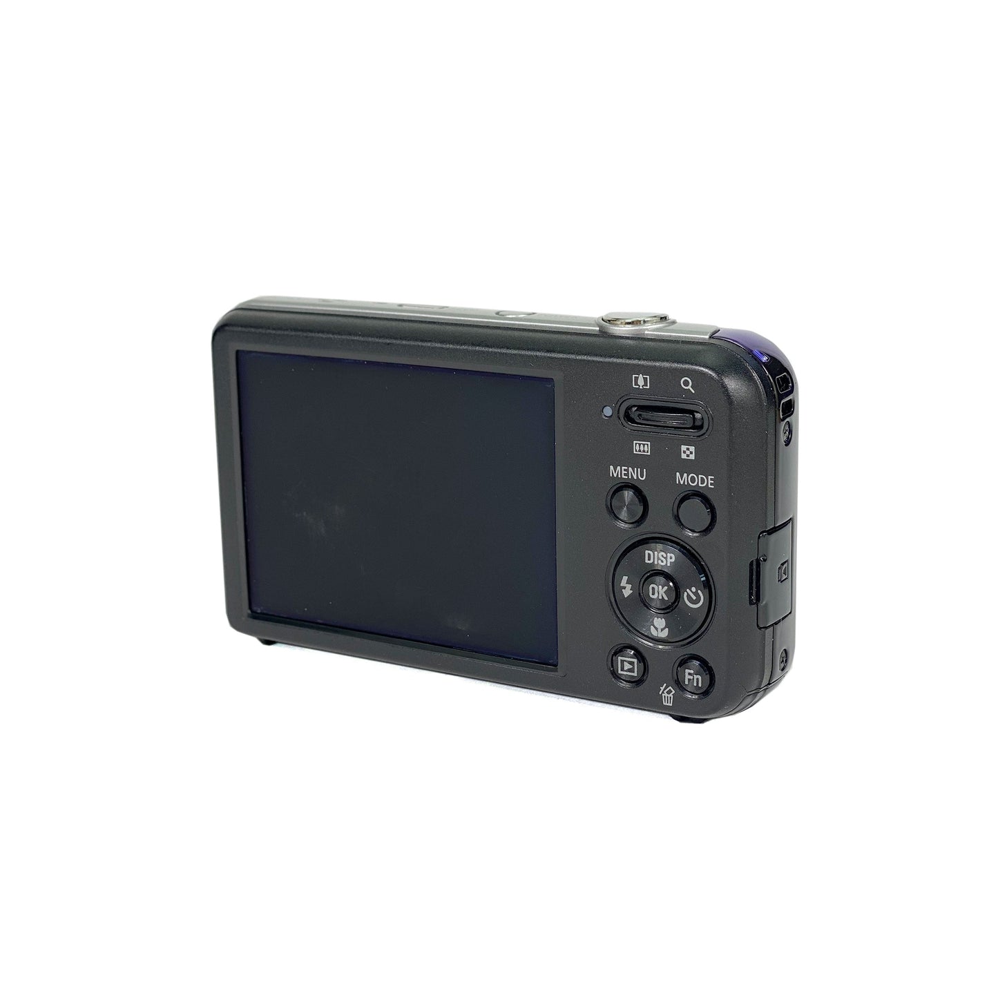 Samsung PL120 Digital Compact