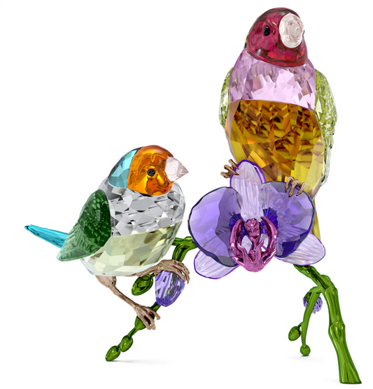 Idyllia SCS Annual Edition 2024 Gouldian Finches