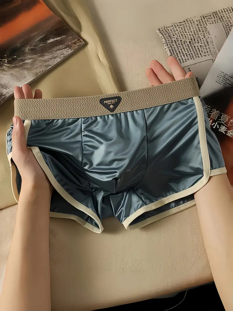 Ice Sliky Fiber Fabric Briefs