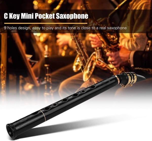 Mini Saxphone (Key of C Two Octave Range)