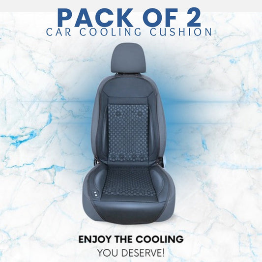 The Icy Seat™️