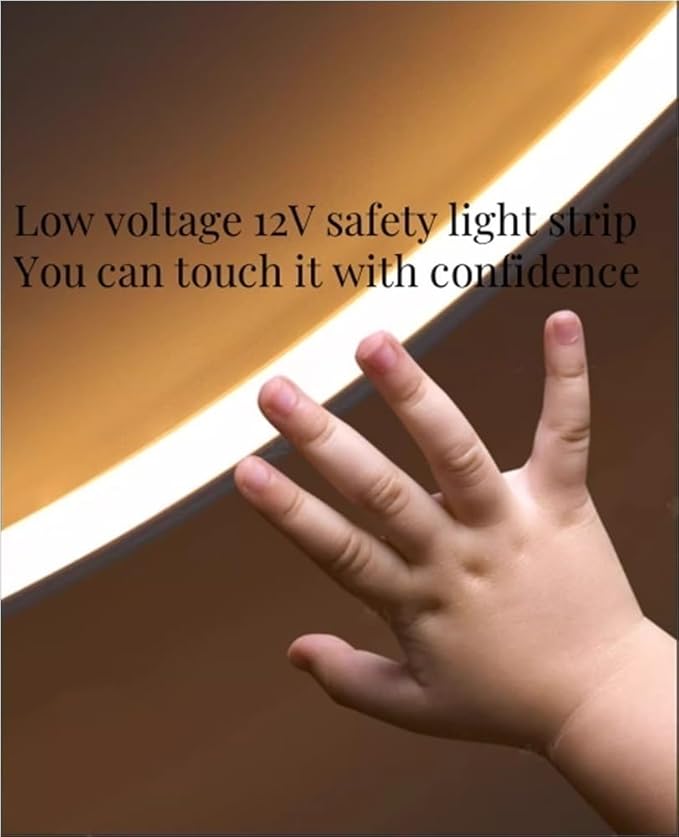 3D Feng Shui Art Wall Decoration Lamp