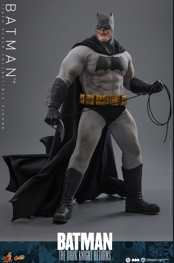 Batman Sixth Scale Figure